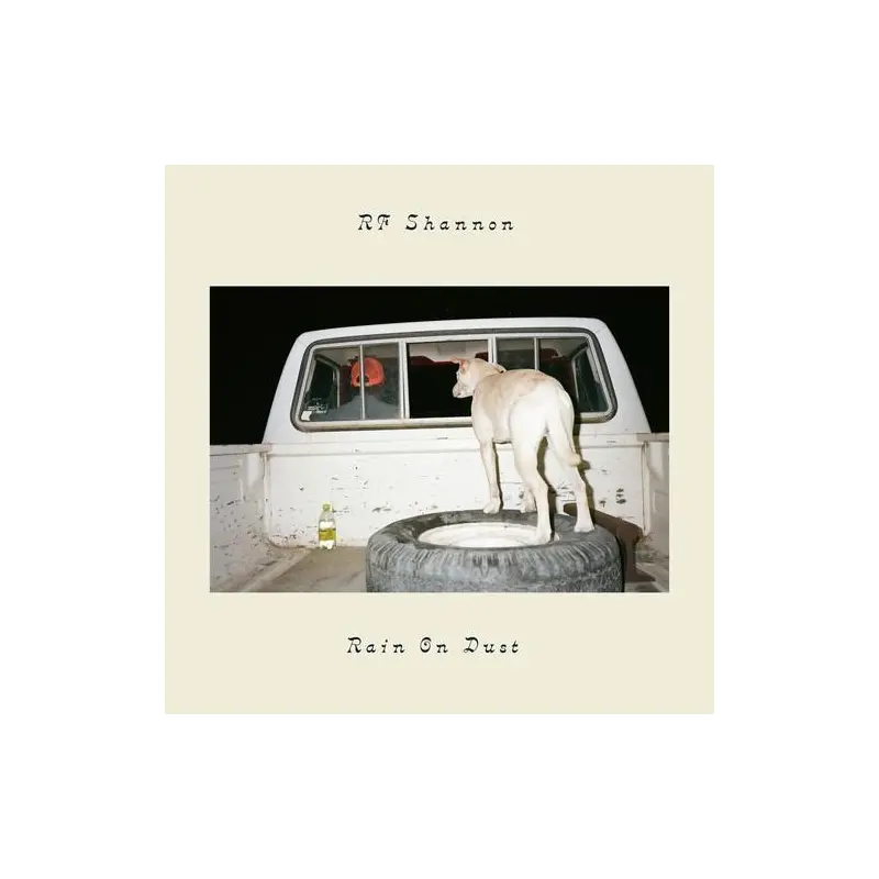 Rain On Dust - Vinyl LP