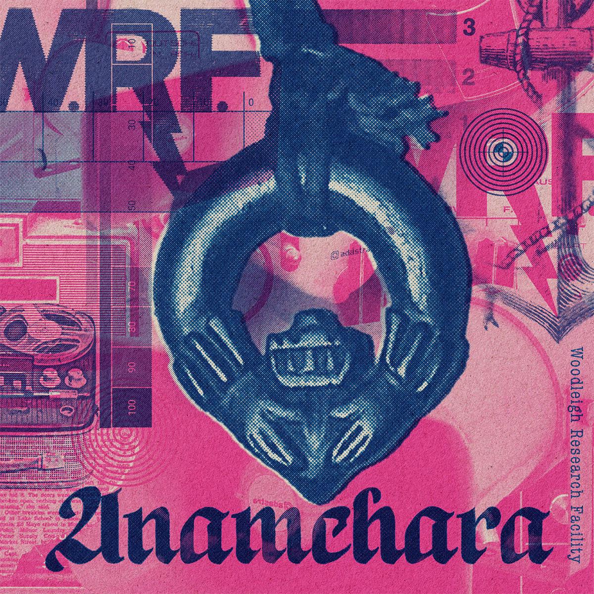 THE WOODLEIGH RESEARCH FACILITY - Anamchara - 2LP - Vinyl [MAY 29]
