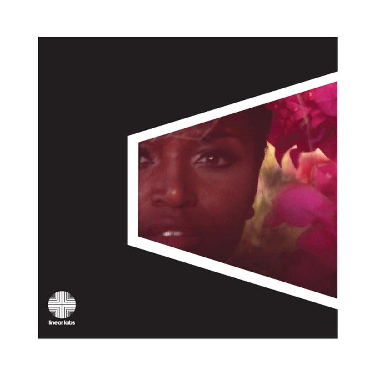 Adrian Younge Presents The Delfonics - Adrian Younge Presents The Delfonics (Vinyl)