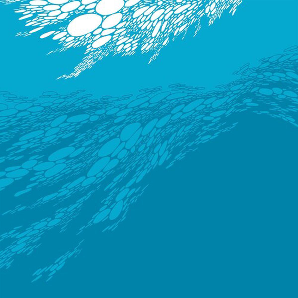 Boris 8211 Flood 2LP
