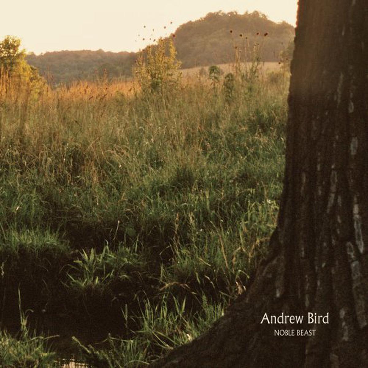 BIRD,ANDREW - NOBLE BEAST ((Vinyl)) - Default Title