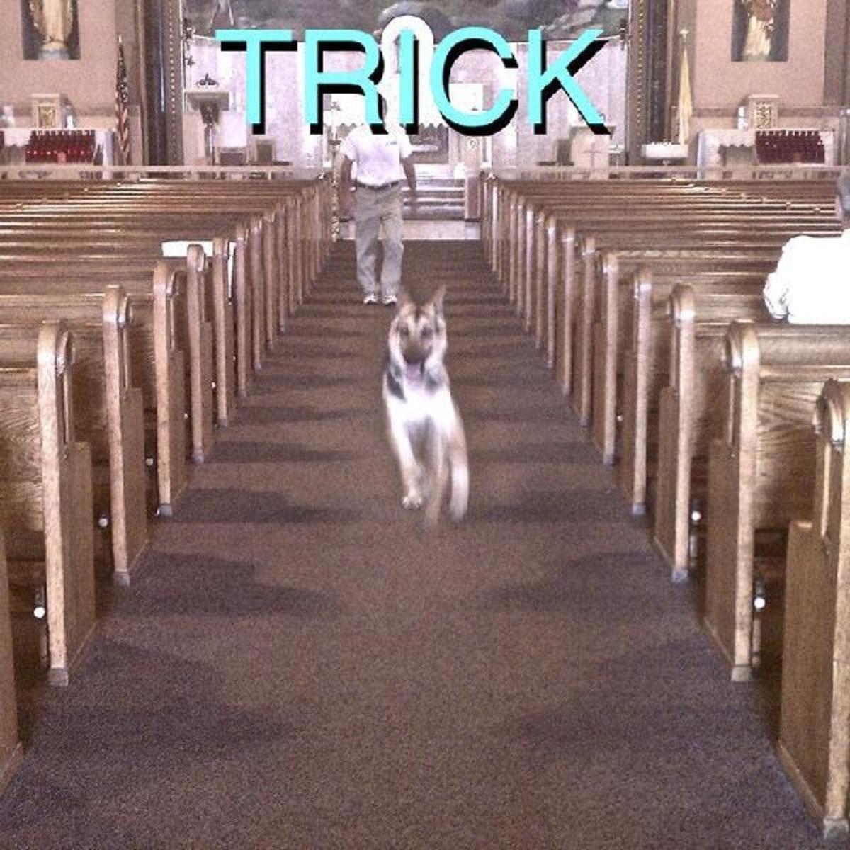 Alex G - Trick [LP]