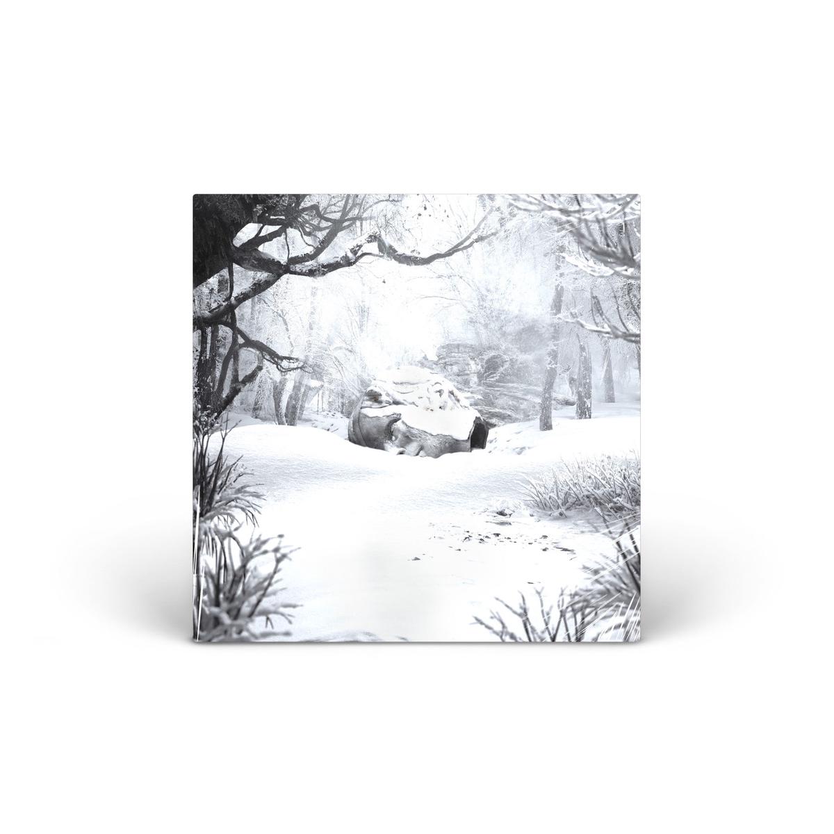 SZNZ: Winter Vinyl [LP]