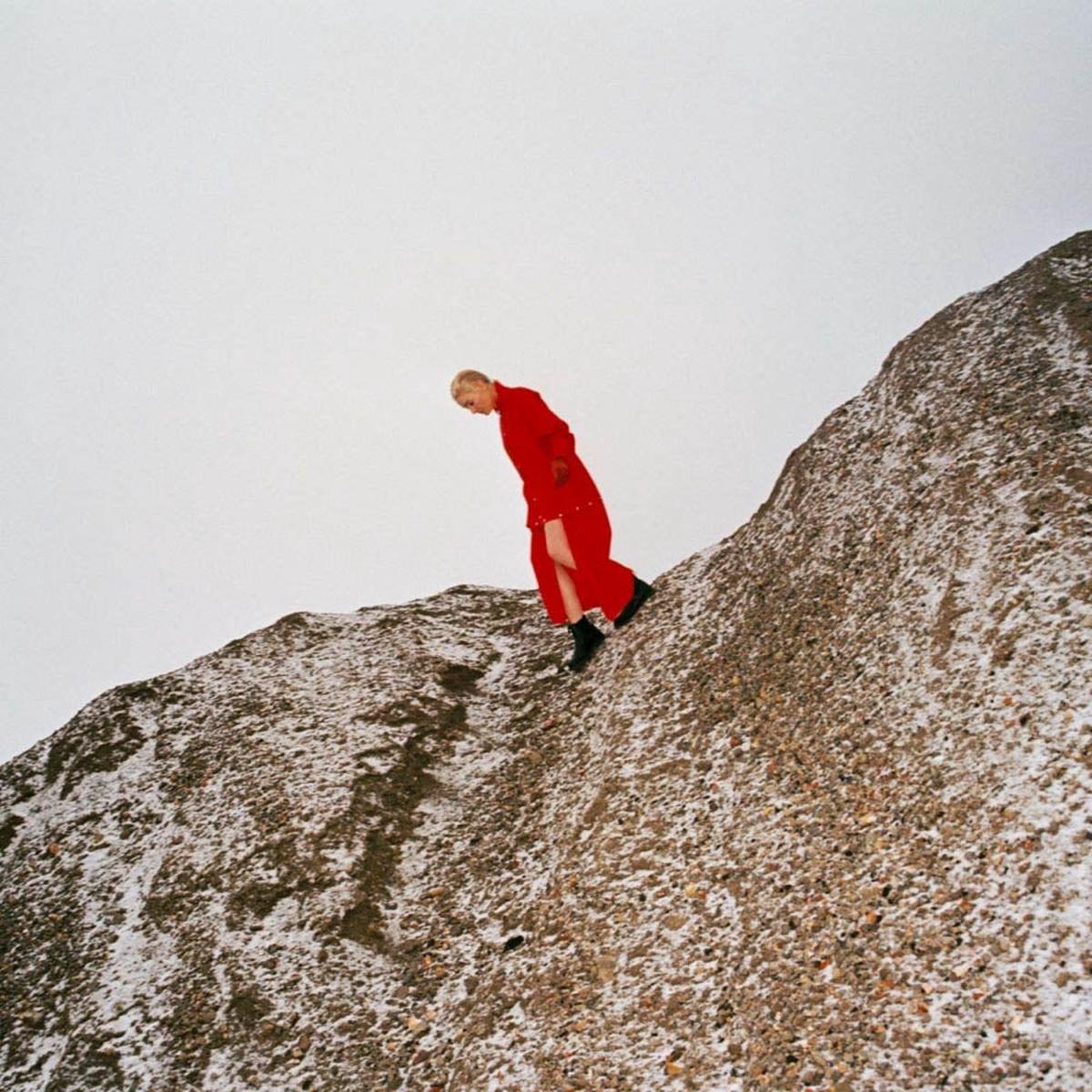 Cate Le Bon Reward Vinyl LP New 2019 Mercury Prize Nominee - Default Title