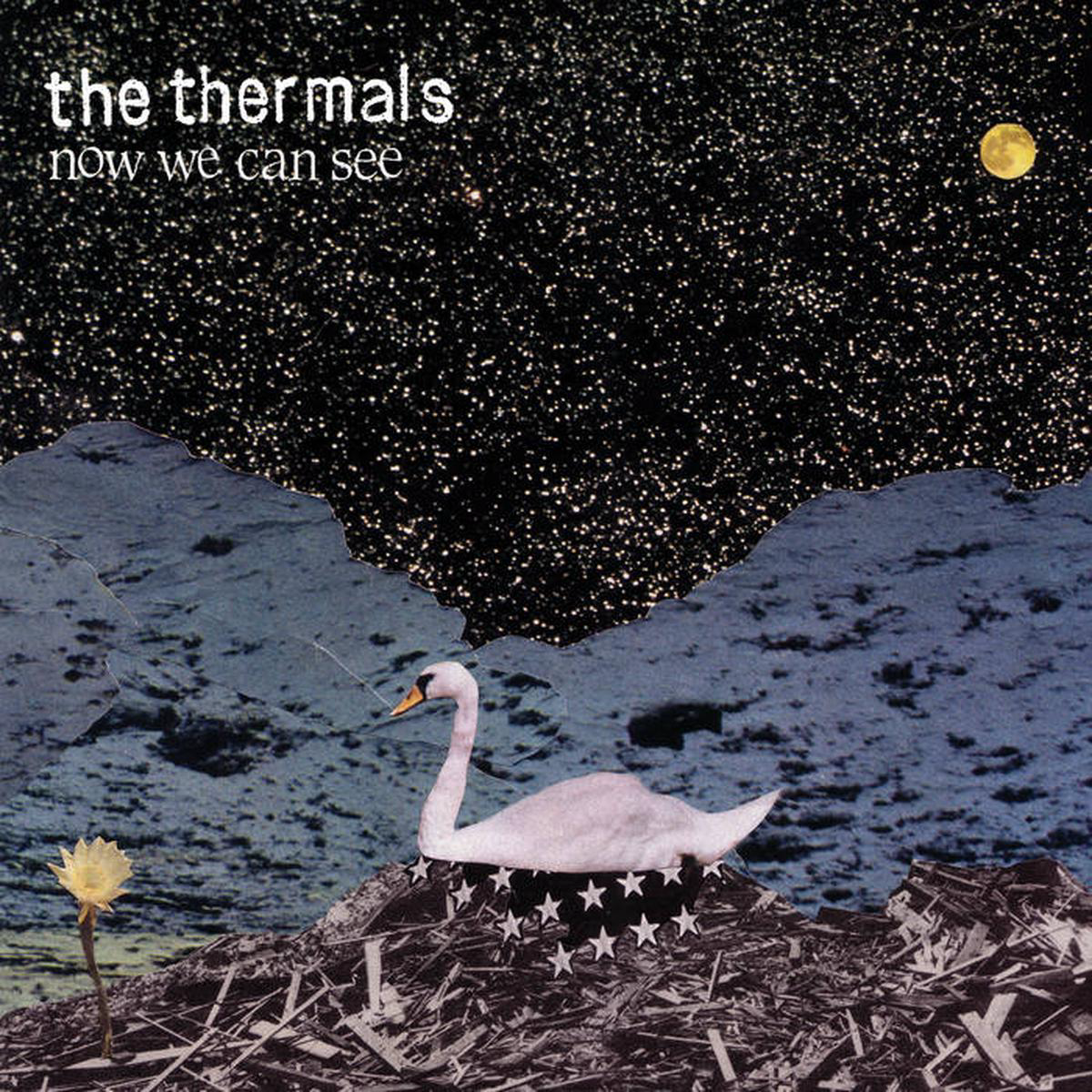 The Thermals 8211 Now We Can See LP