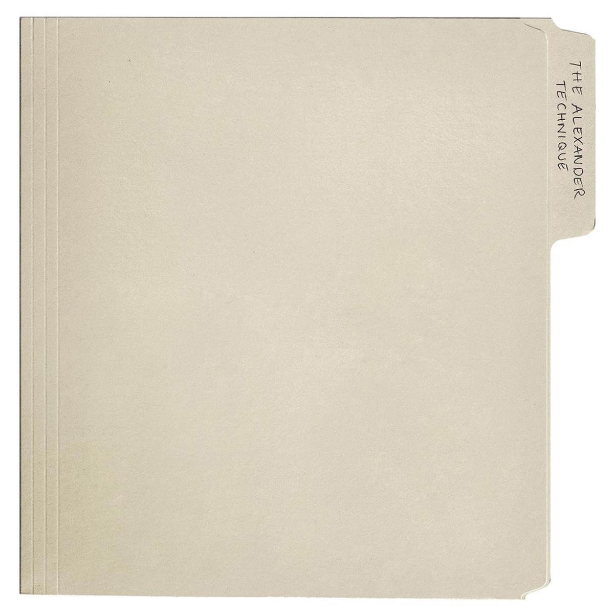 REX ORANGE COUNTY - The Alexander Technique - 2LP - Black Vinyl