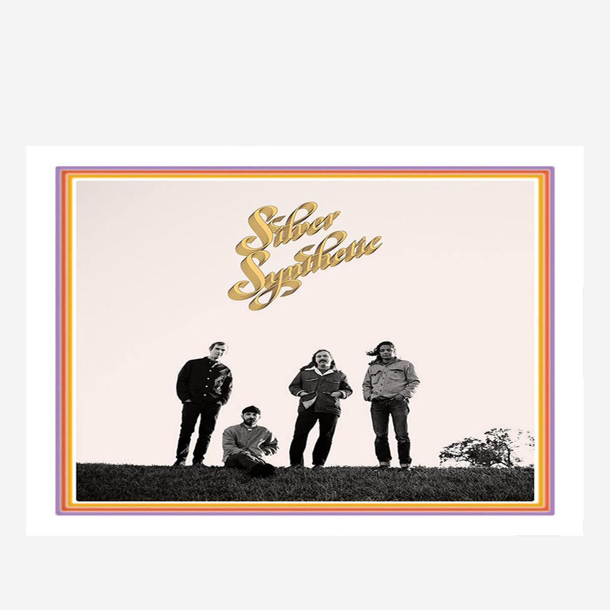 Silver Synthetic LP