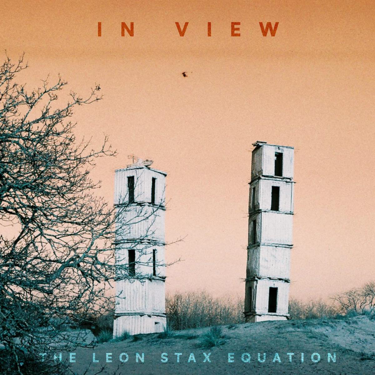 THE LEON STAX EQUATION 8211 In View 8211 LP 8211 Black Vinyl MAY 8