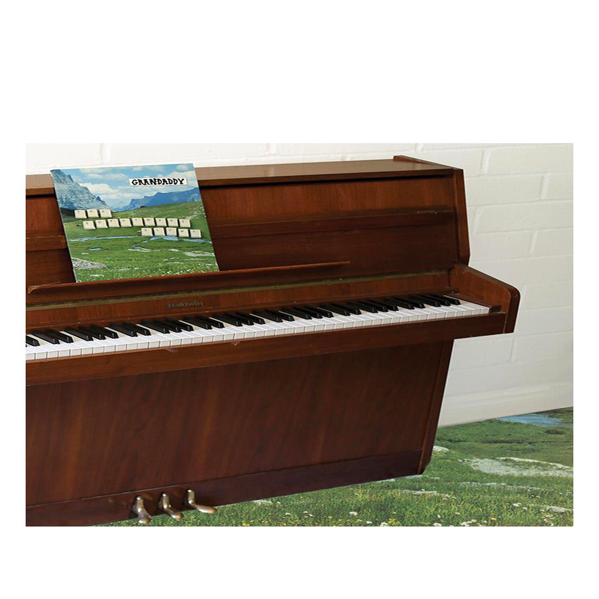 The Sophtware Slump .. on a wooden piano LP
