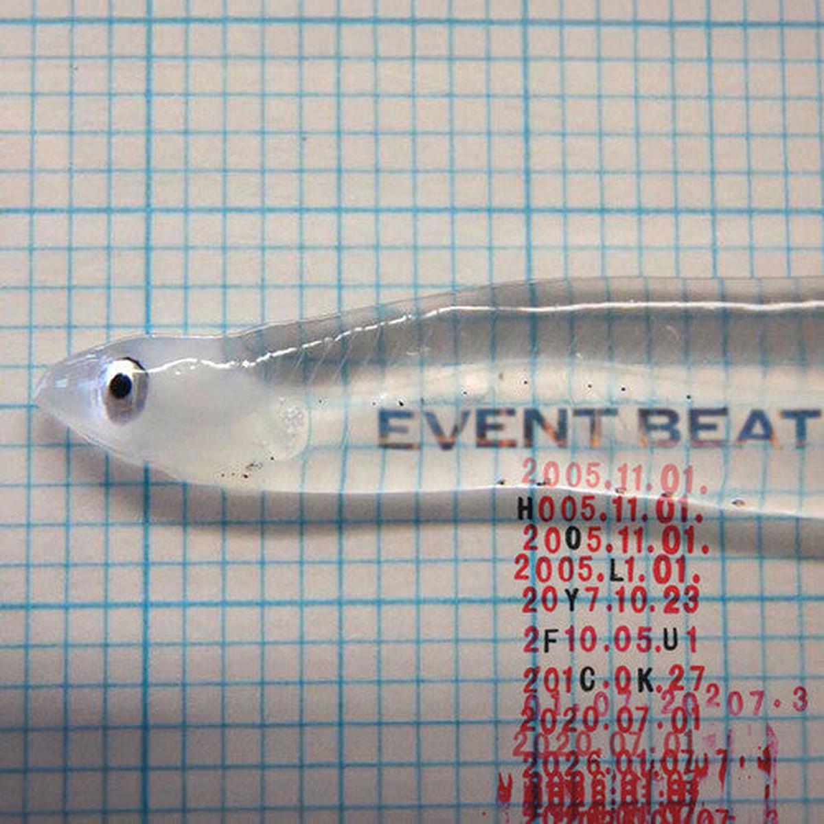 (PRE ORDER 3/20/26) Event Beat (VINYL) | - - ELECTRONIC *NEW*