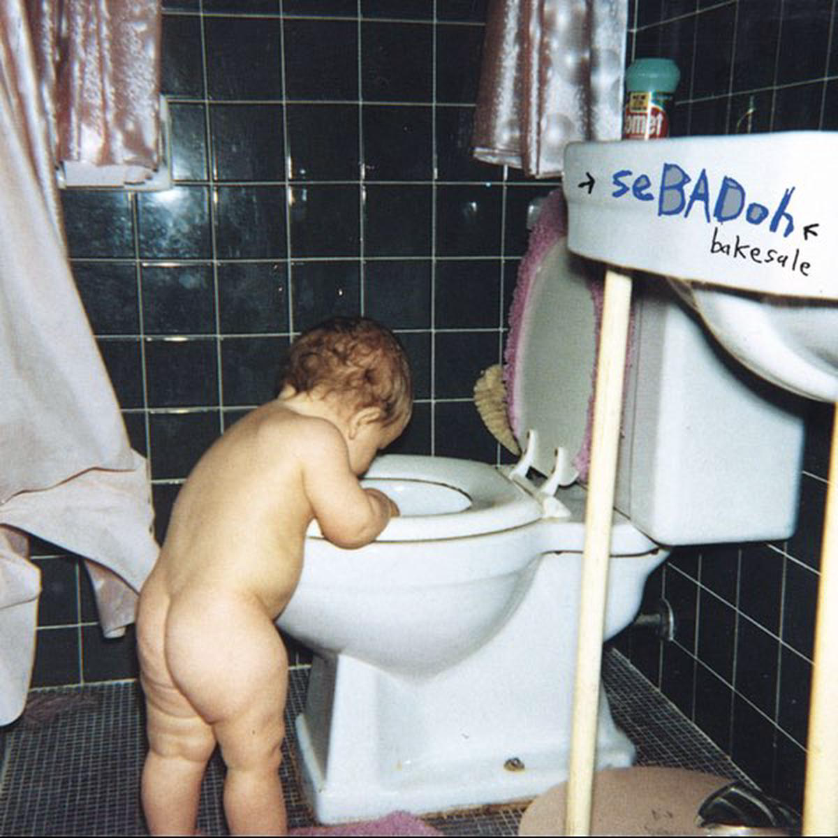 Sebadoh 8211 Bakesale 30th Anniversary LP