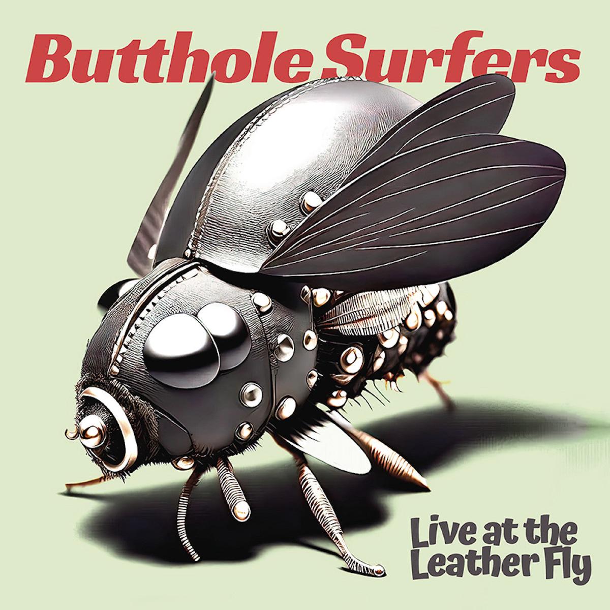 Butthole Surfers Live At The Leather Fly (Opaque Pink Vinyl) - Default Title