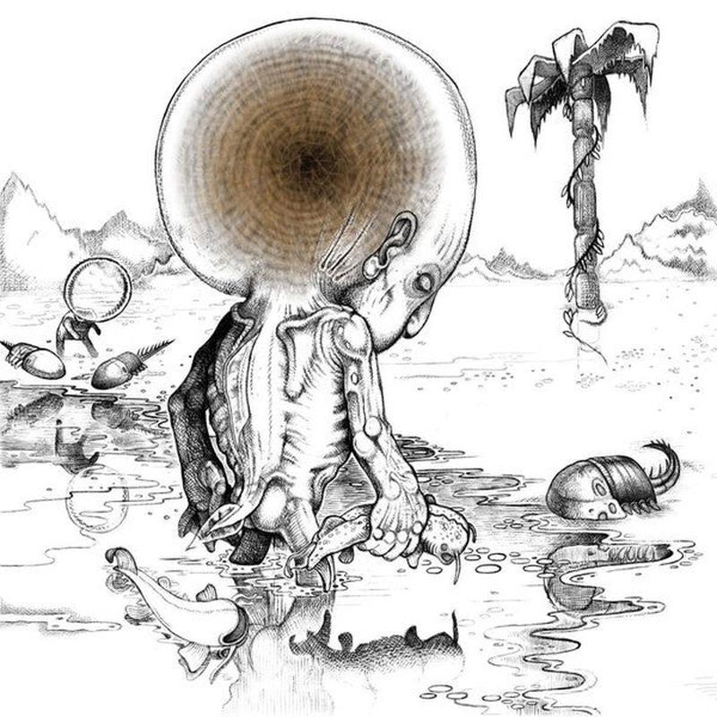 Shackleton and Vengeance Tenfold - Sferic Ghost Transmits [Vinyl]