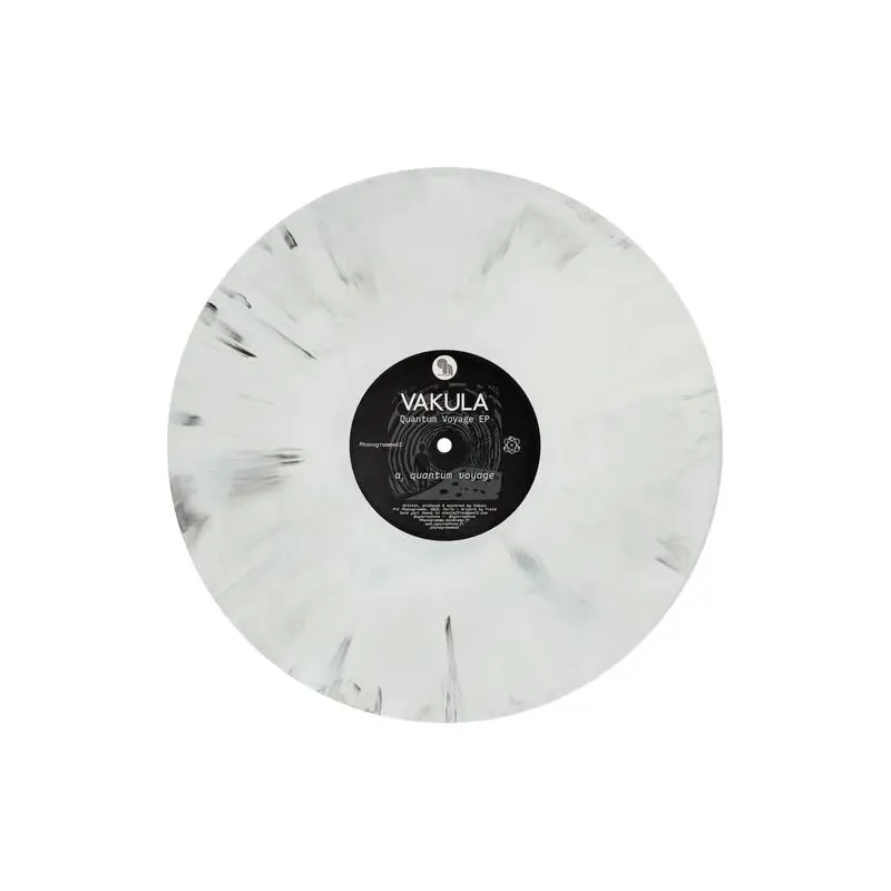Quantum Voyage - 12-Inch Single (Gray)