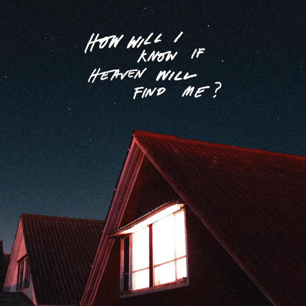 Amazons: How Will I Know If Heaven - VINYL LP