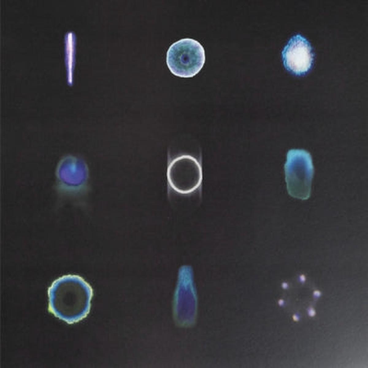 ARIEL KALMA & ASA TONE -