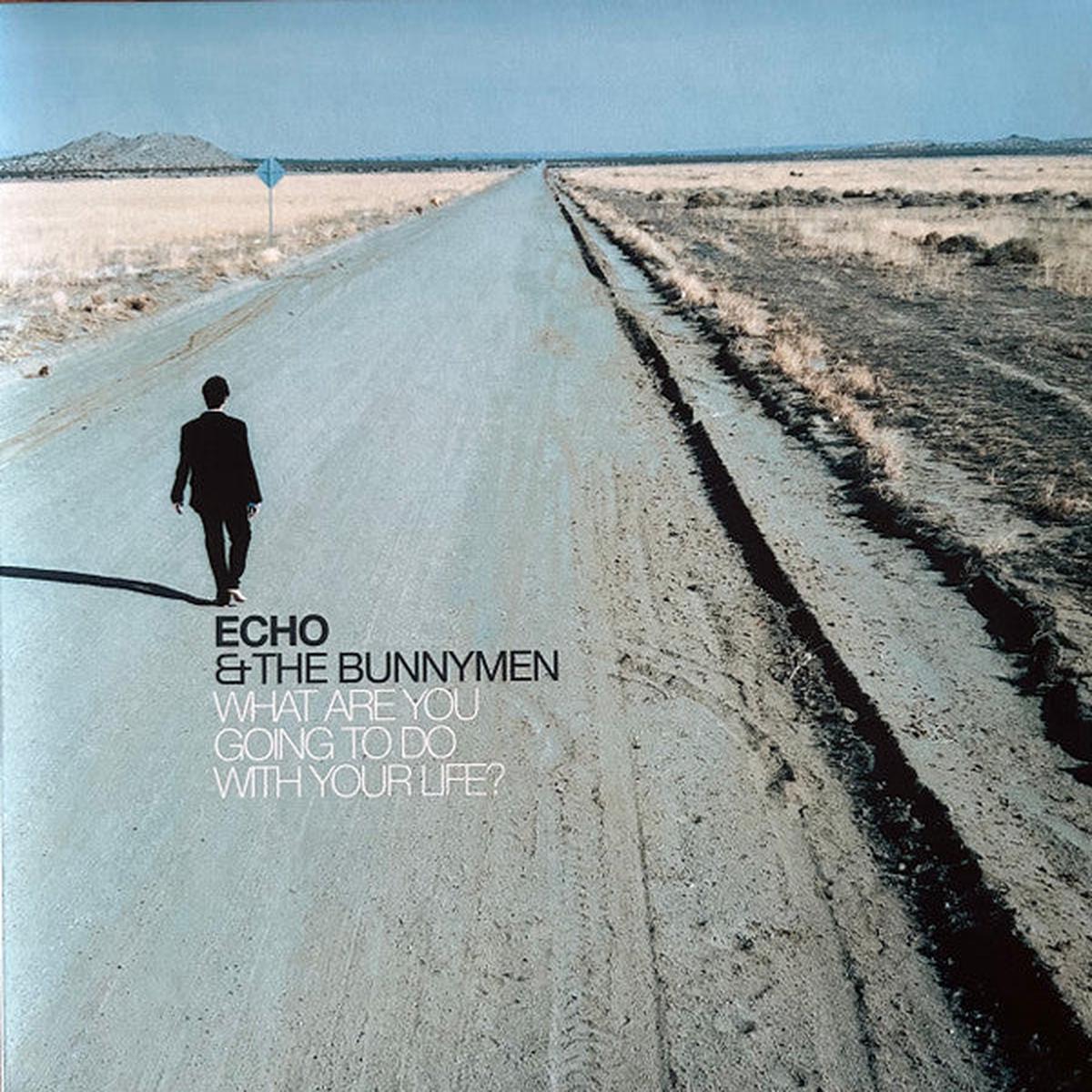 ECHO & THE BUNNYMEN - WHAT ARE YOU GOING TO DO ... : TURQUOISE - LP