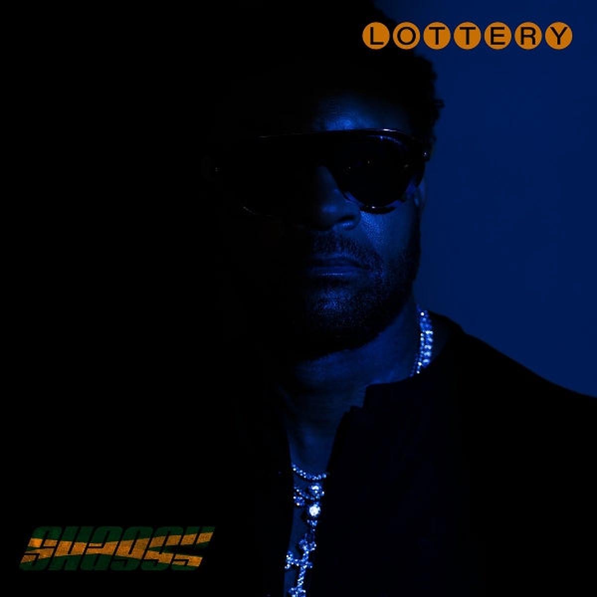 Shaggy - Lottery (LP)
