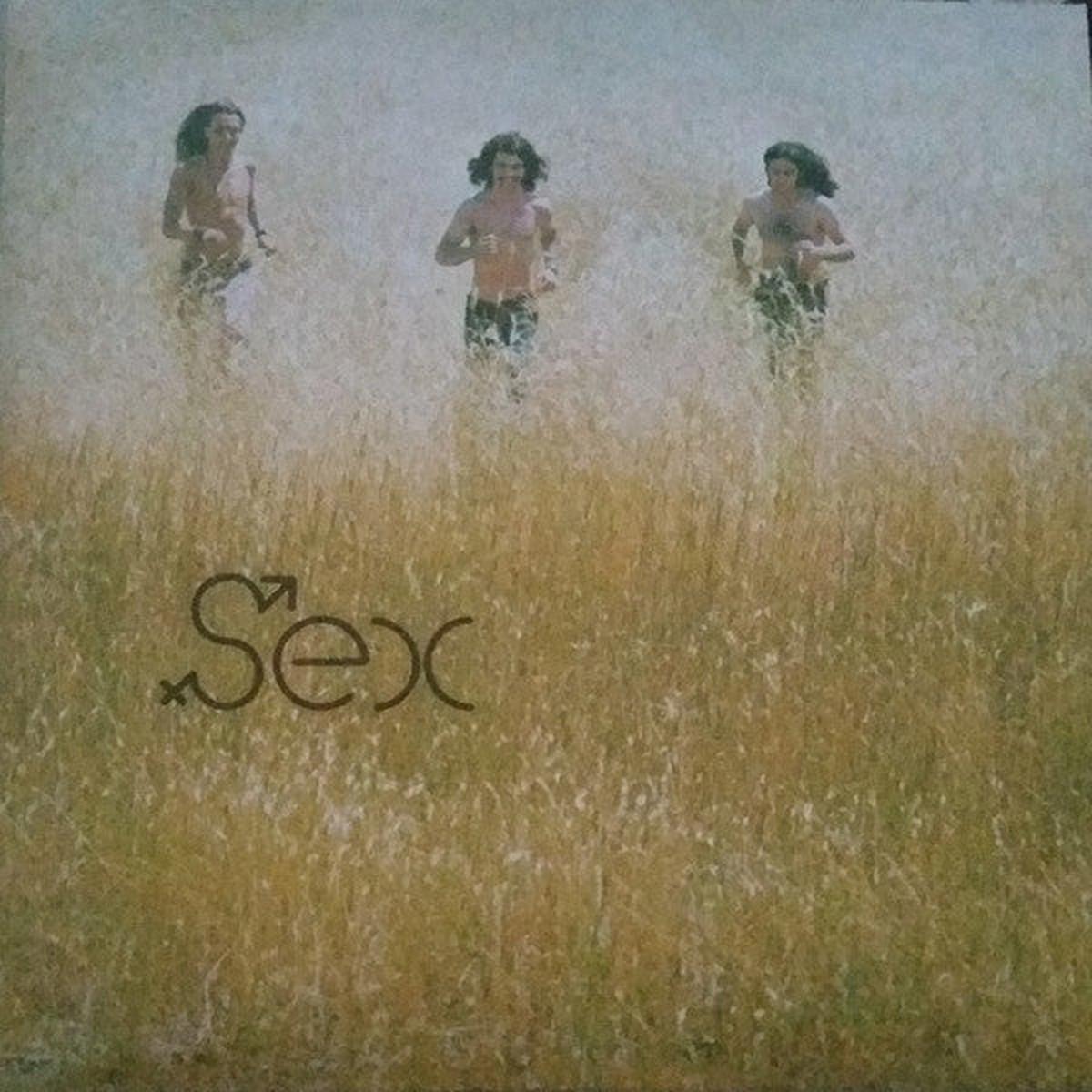 Sex - Sex (LP)