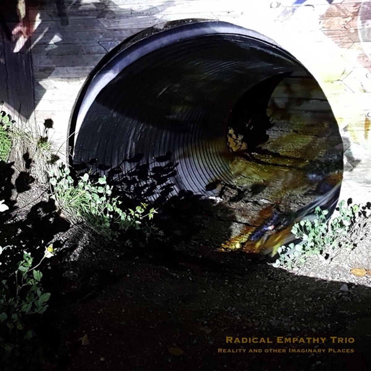 Radical Empathy Trio - Reality and Other Imaginary Places (LP)