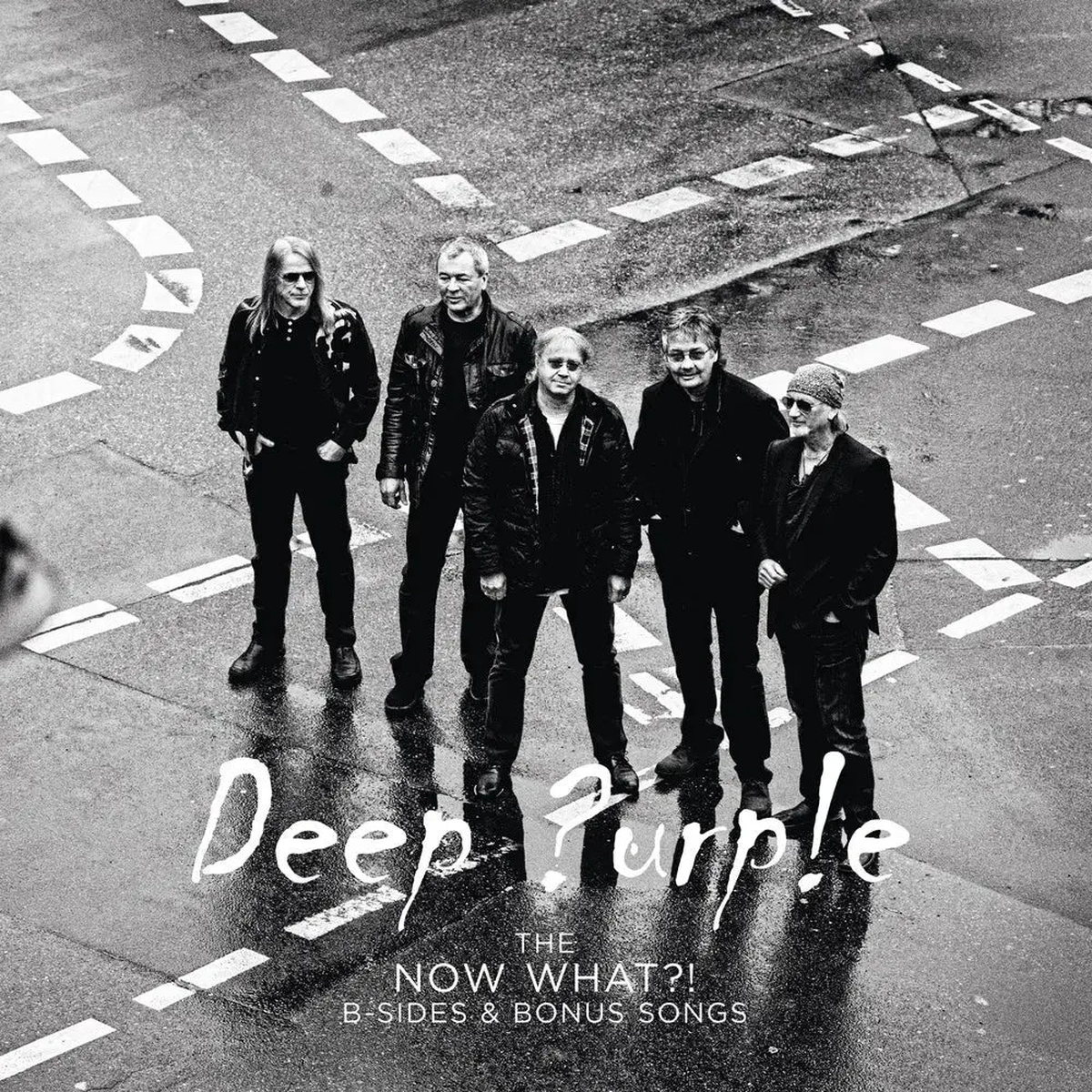 The Now What?! B-Sides And Bonus Songs: Purple Vinyl LP
