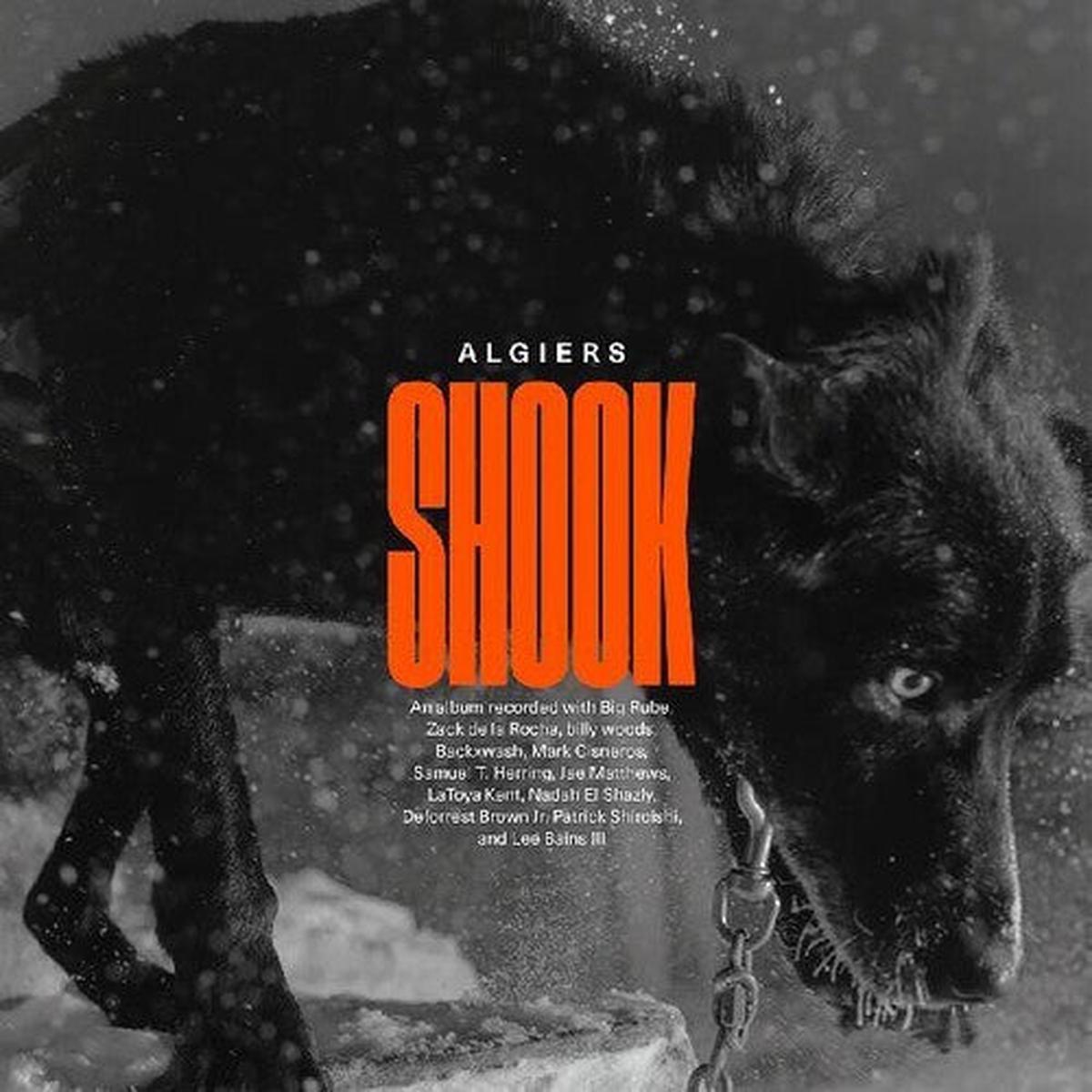 Algiers: Shook - VINYL LP