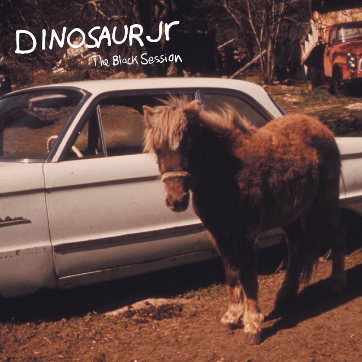 Dinosaur Jr. - The Black Session: Live In Paris 1993 (LP)