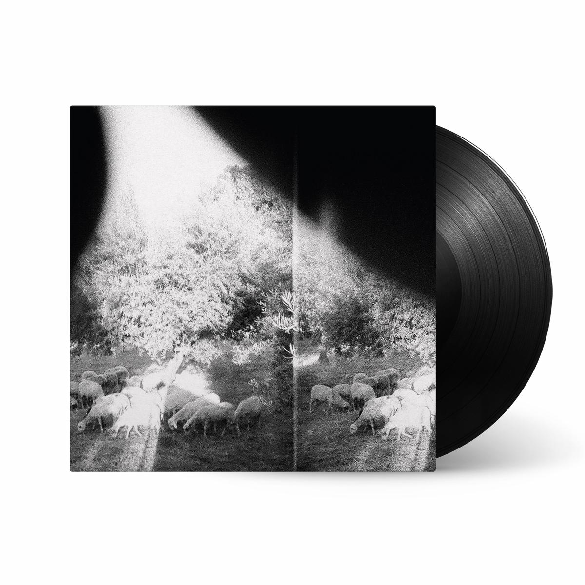 Asunder, Sweet And Other Distress: Vinyl LP