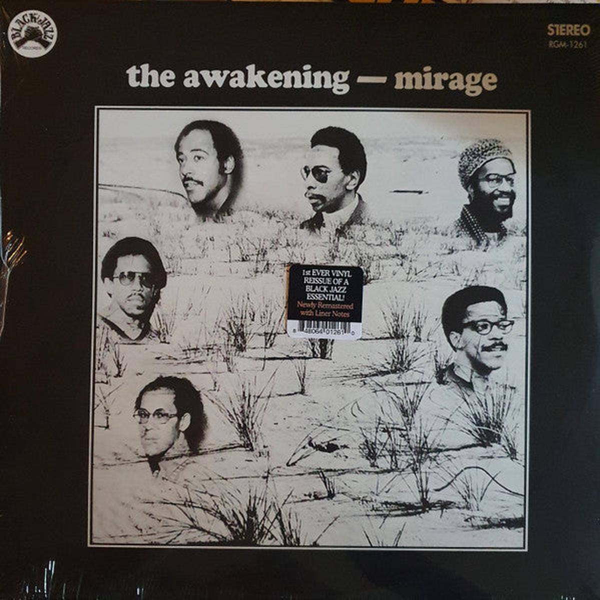 AWAKENING - MIRAGE: BLUE/BLACK SWIRL - LP