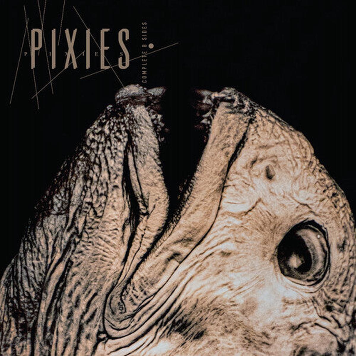 Pixies: Complete B Sides: 1988-97 - VINYL LP