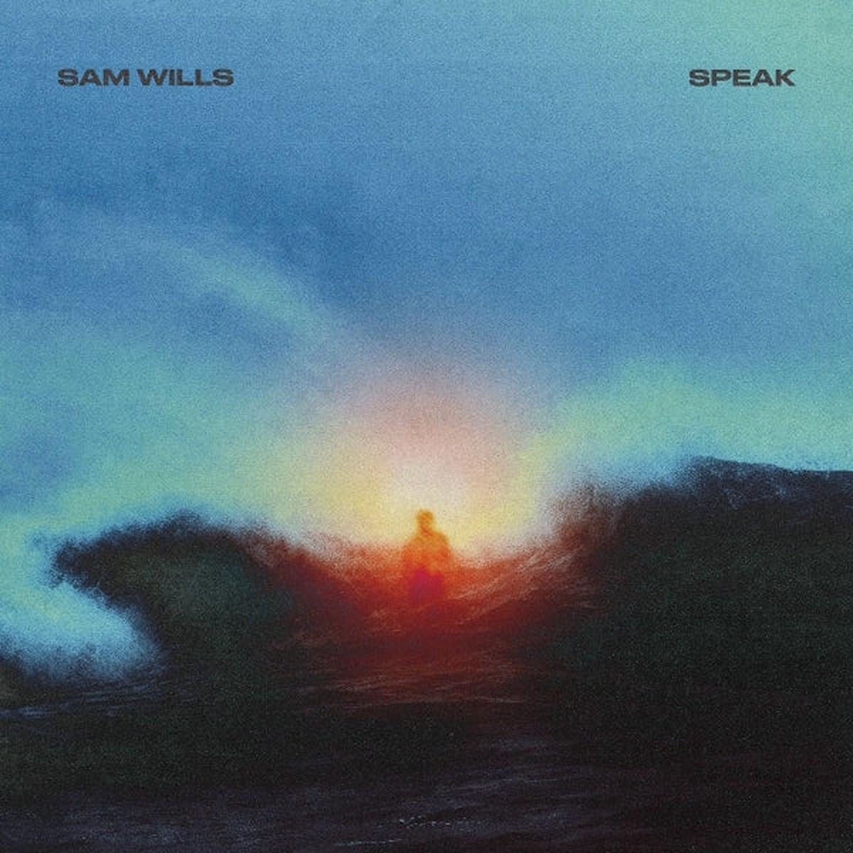 Sam Wills - Speak (LP)