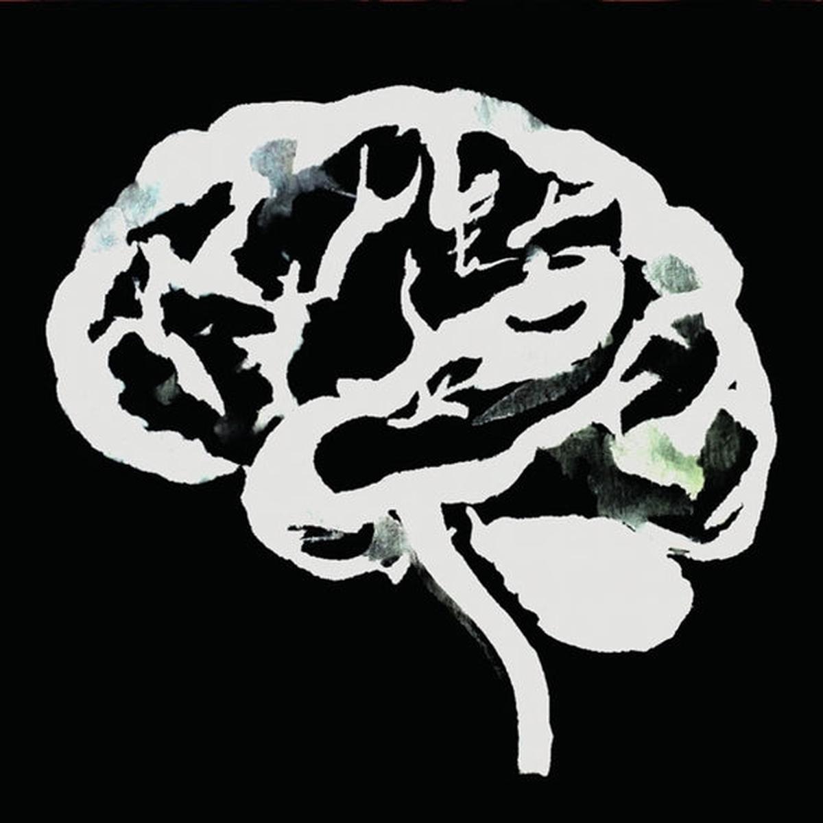 Ruins - Brain Flakes (LP)