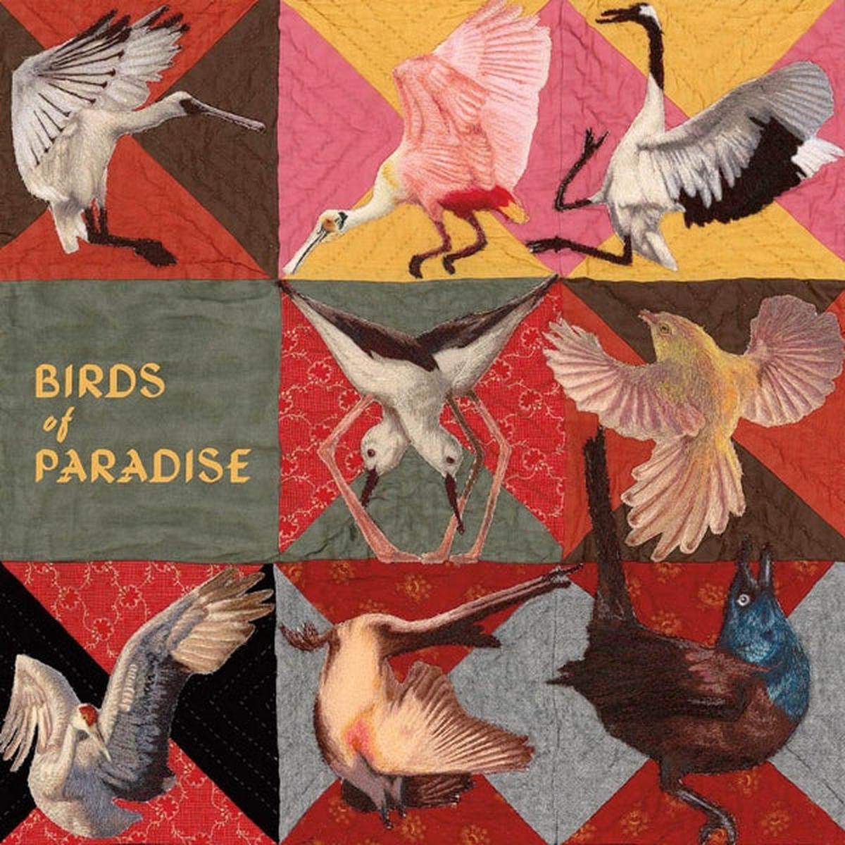 Thomas Dollbaum - Birds of Paradise (LP)