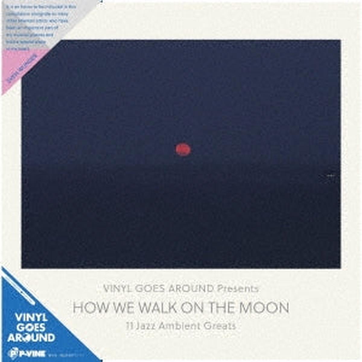 V/A - How We Walk On the Moon (LP)