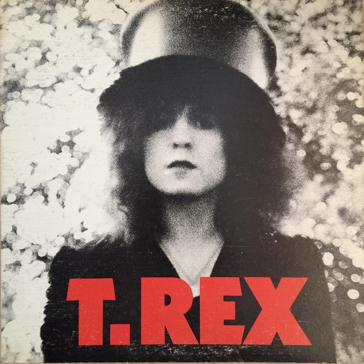 T. Rex The Slider - 1972-Glam Rock ( Rare Vinyl) excellent vinyl