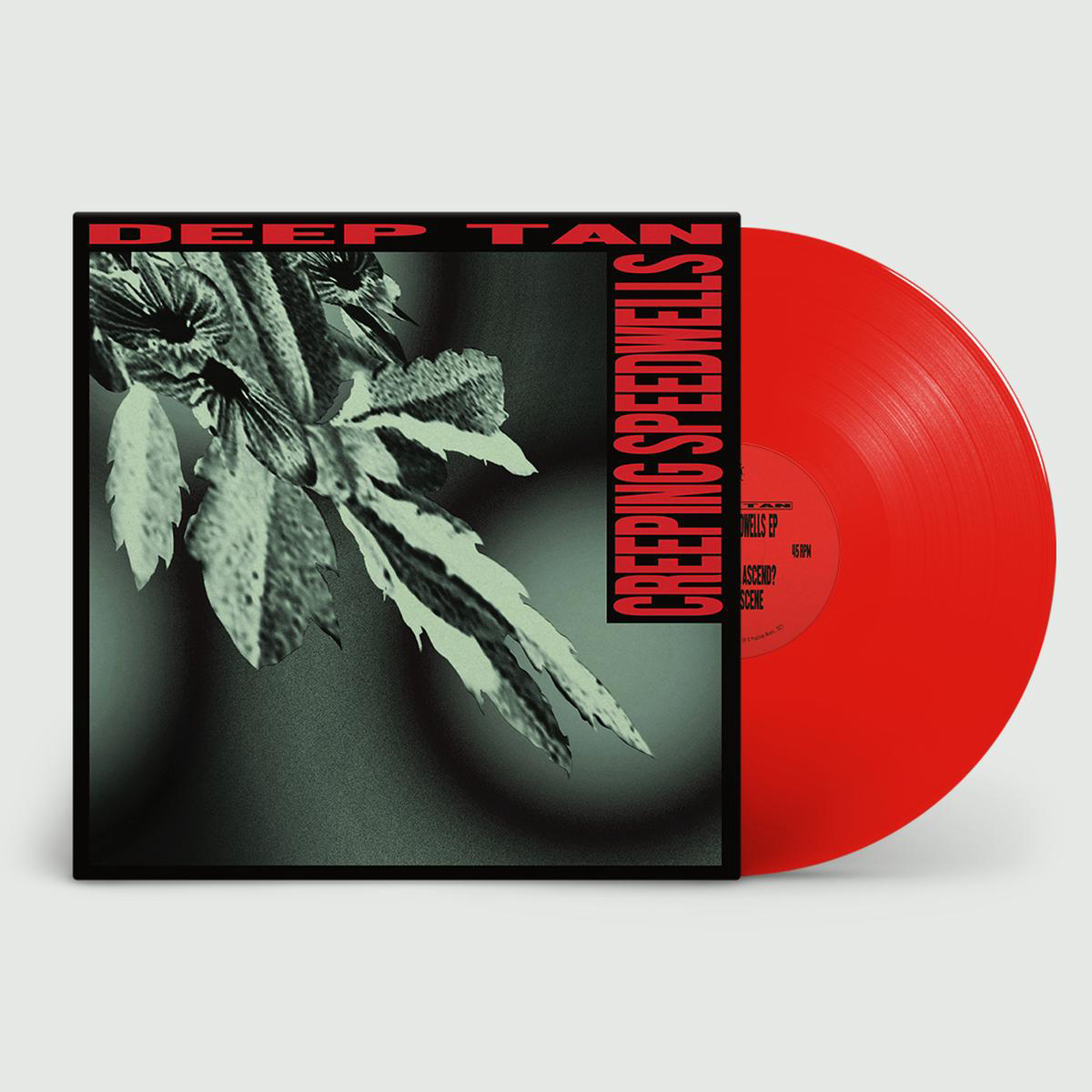Creeping Speedwells EP Signed Exclusive Red Vinyl LP
