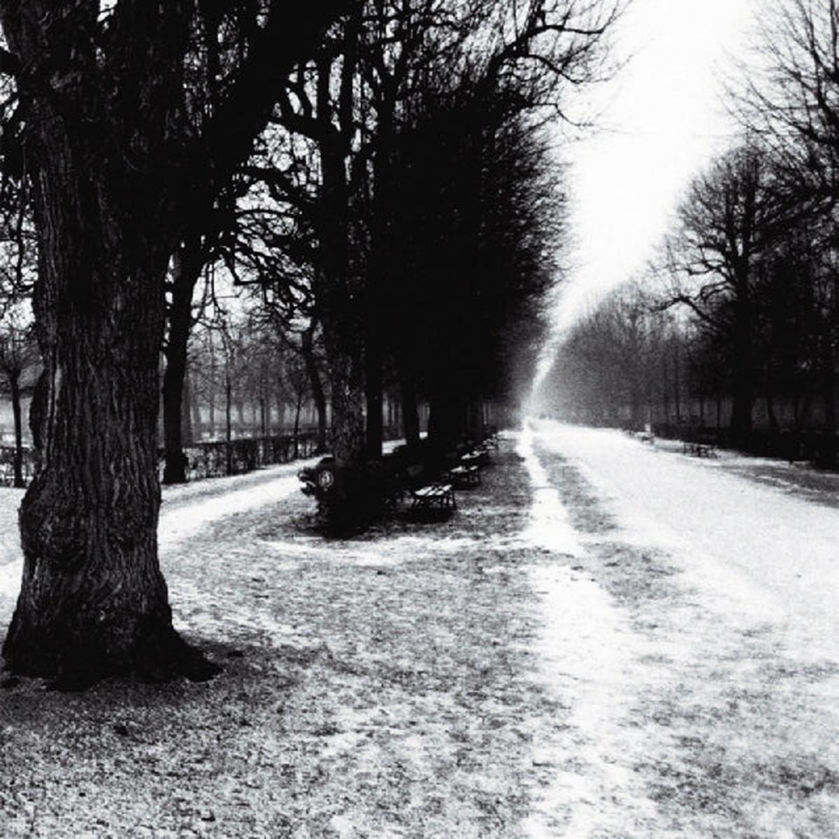 Theo Travis - Slow Life (2 LPs)