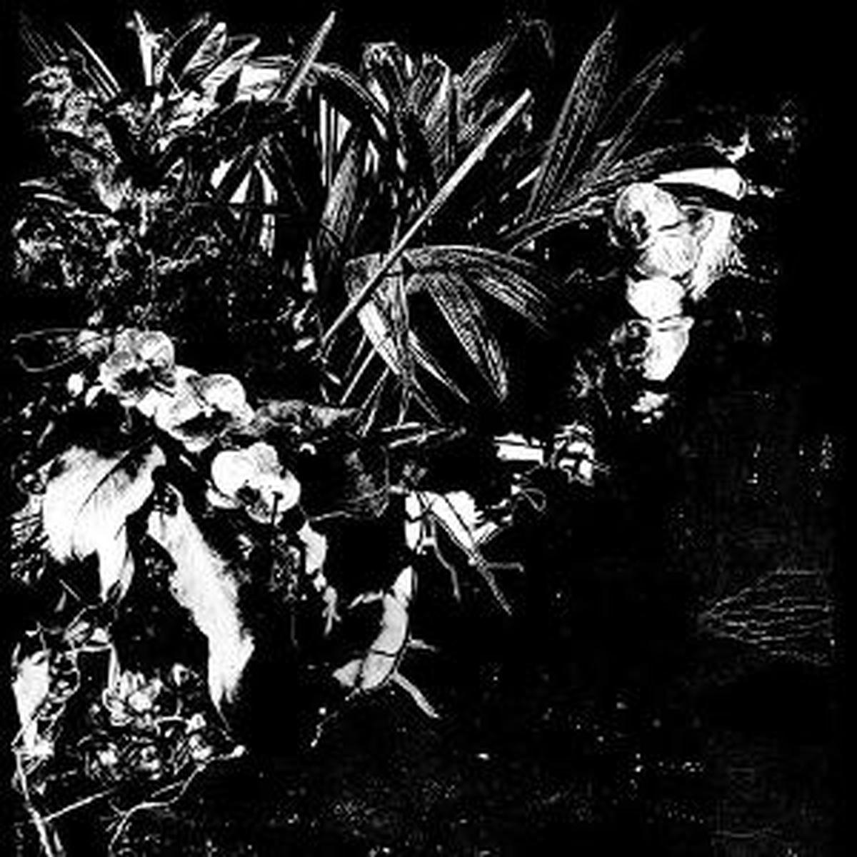 Jeff Mertens - Orchid Alto (LP)