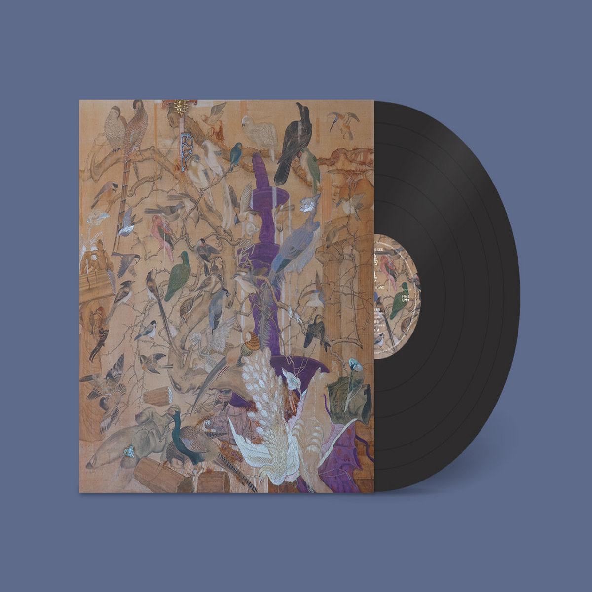 Birdy Island Vinyl LP