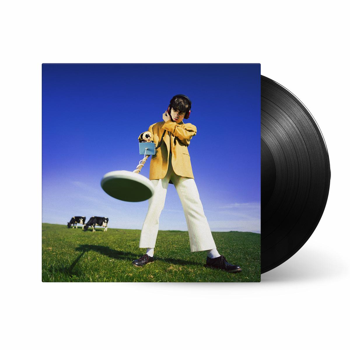 What Happened to the Beach? Vinyl LP
