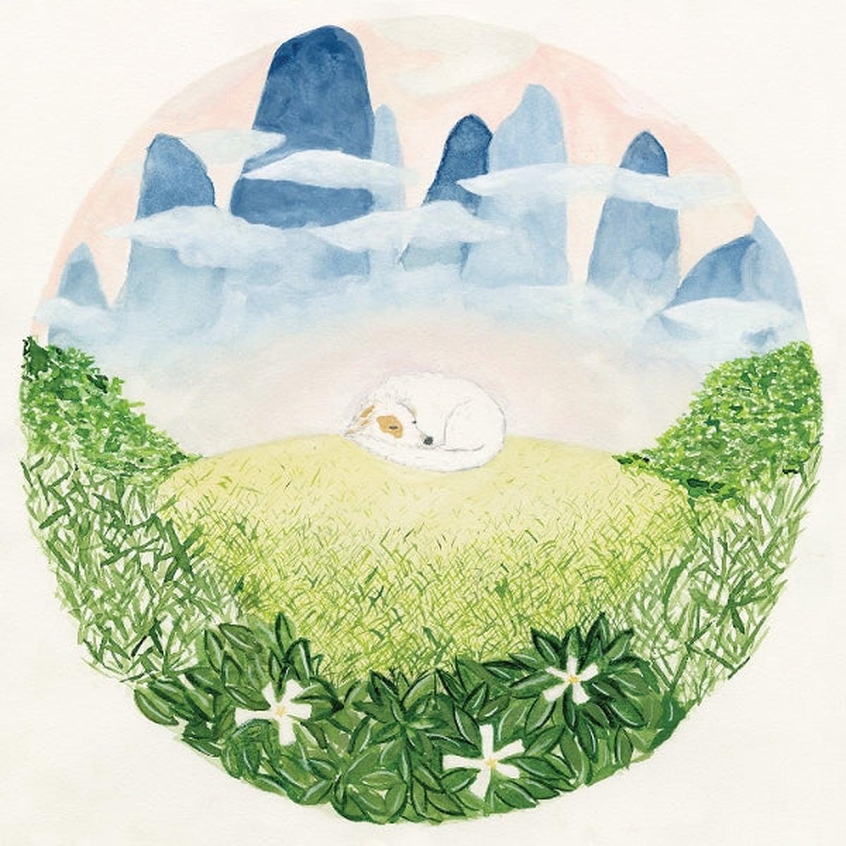 Ben Hackett - Songs For Sleeping Dogs (2 LPs)