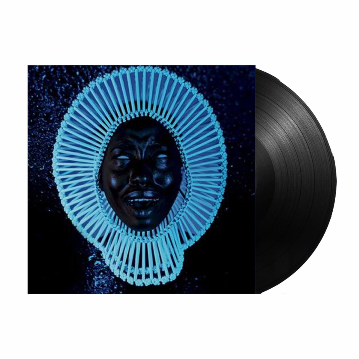 Awaken My Love Vinyl LP