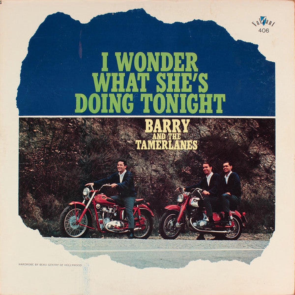 Barry And The Tamerlanes I Wonder What She's Doing Tonight -1963-Rock, Pop , Beat, Surf (Rare Vinyl)