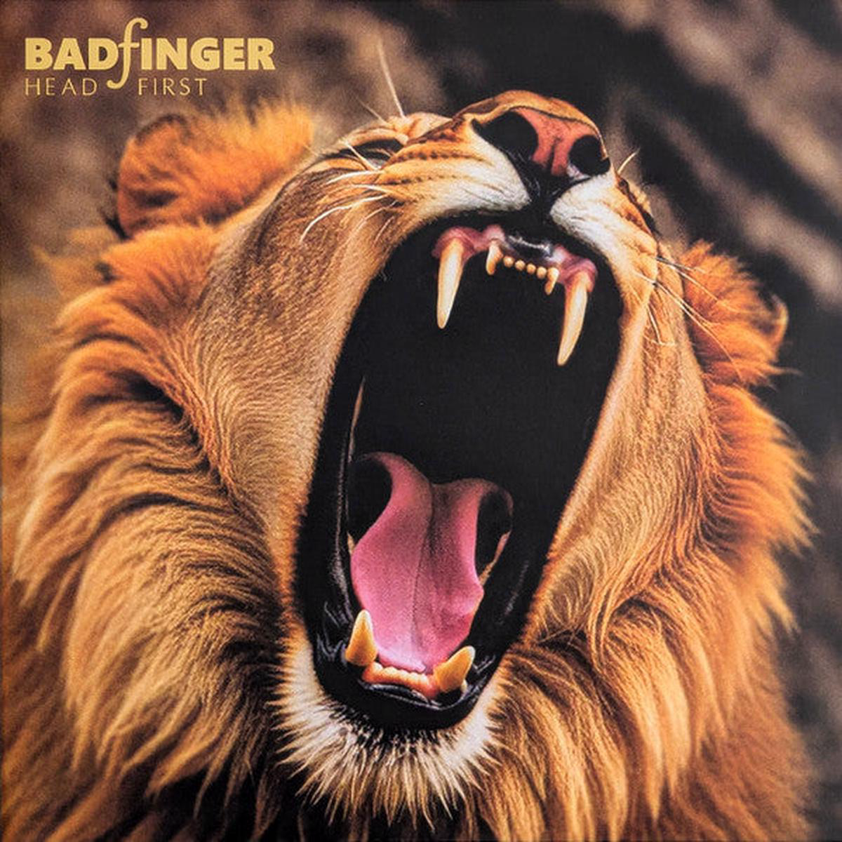 BADFINGER 8211 HEAD FIRST 2024 REMIX 038 REMASTER 8211 LP