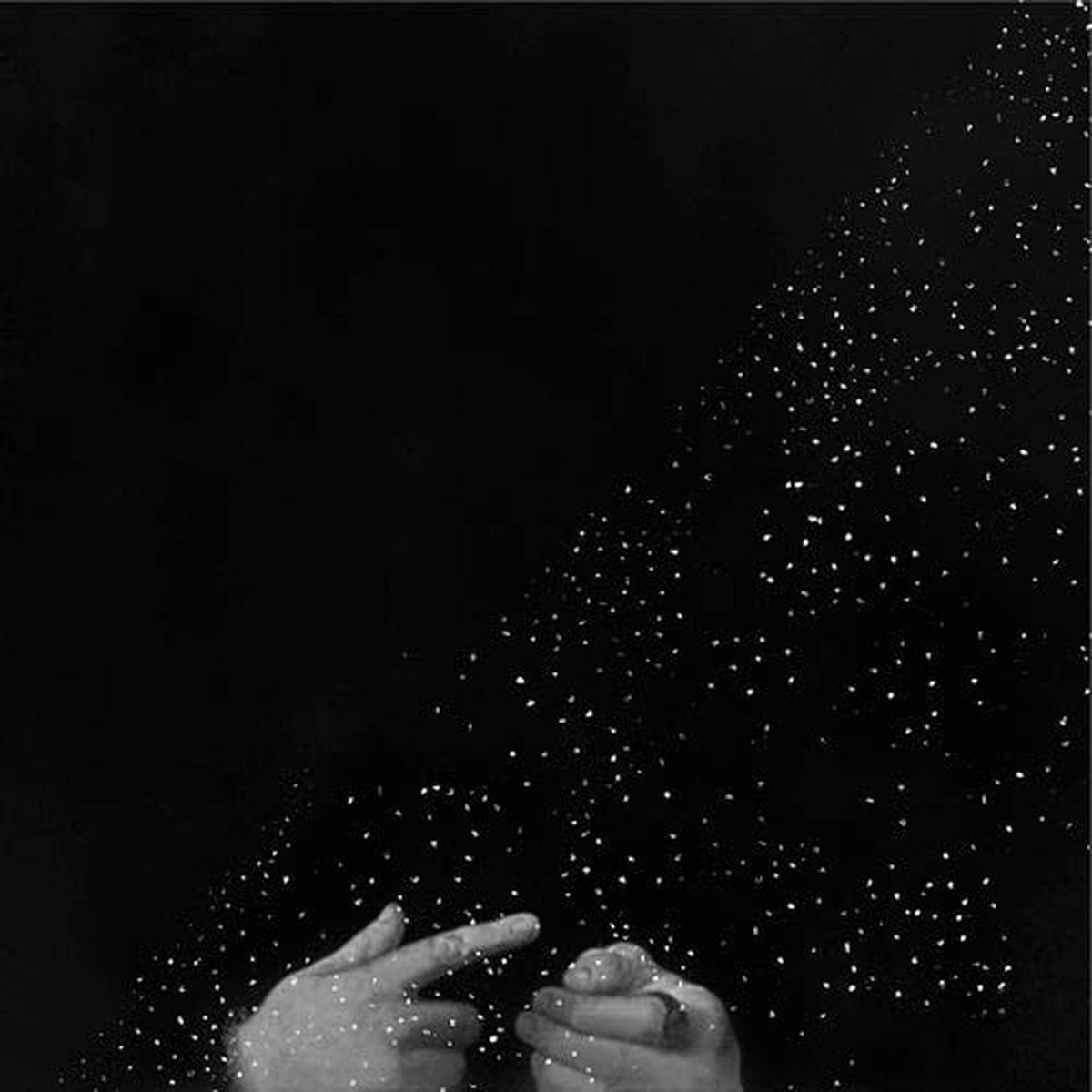 Duane & Cory Allen Pitre - The Seeker and the Heeler (LP)