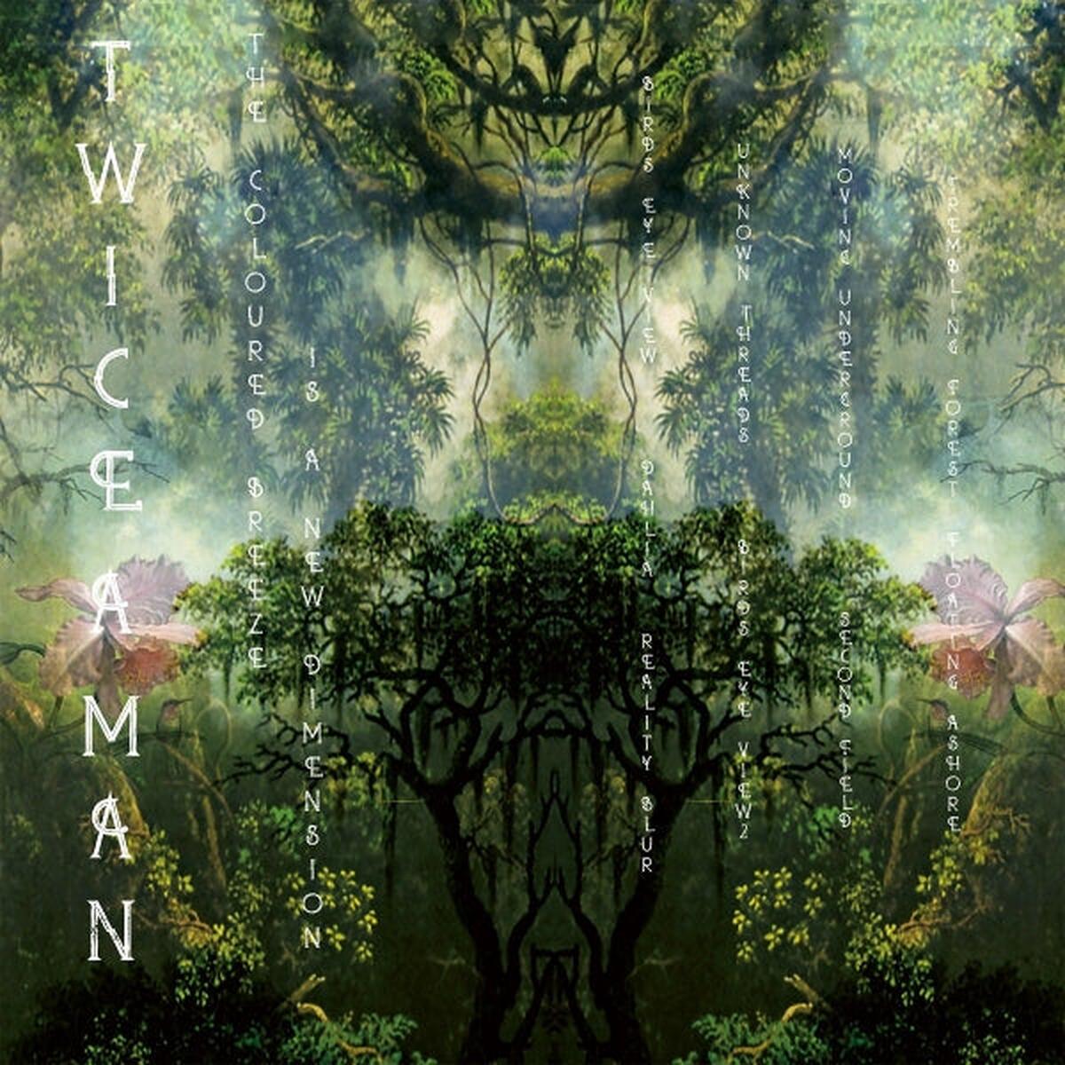 Twice a Man - The Coloured Breeze is a New Dimension (LP)