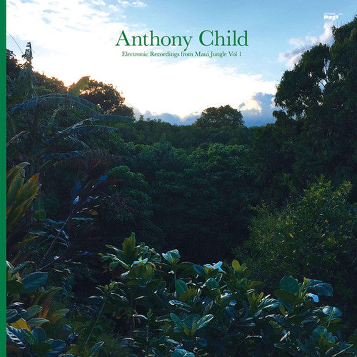Anthony Child: Electronic Recordings from Maui Jungle Vol. 1 - VINYL LP