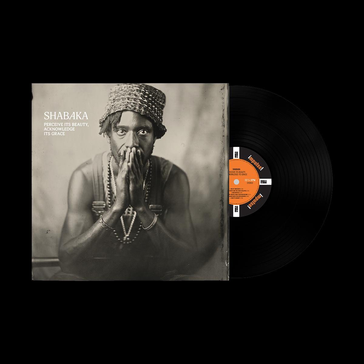 Perceive its Beauty Acknowledge its Grace Vinyl LP