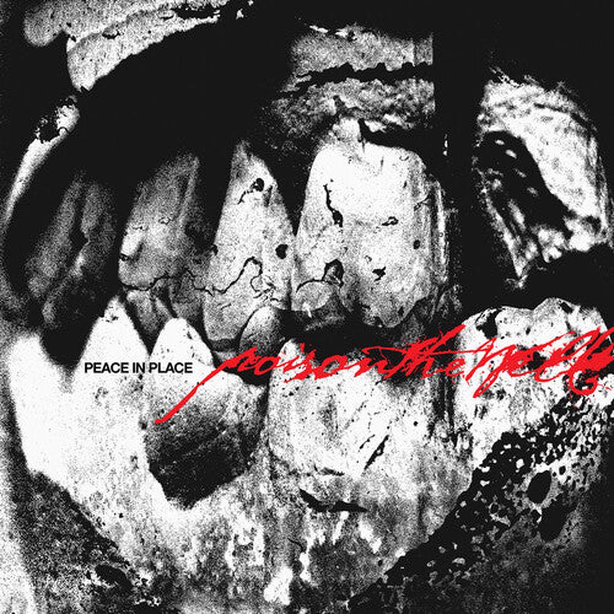 Poison the Well: Peace In Place - VINYL LP