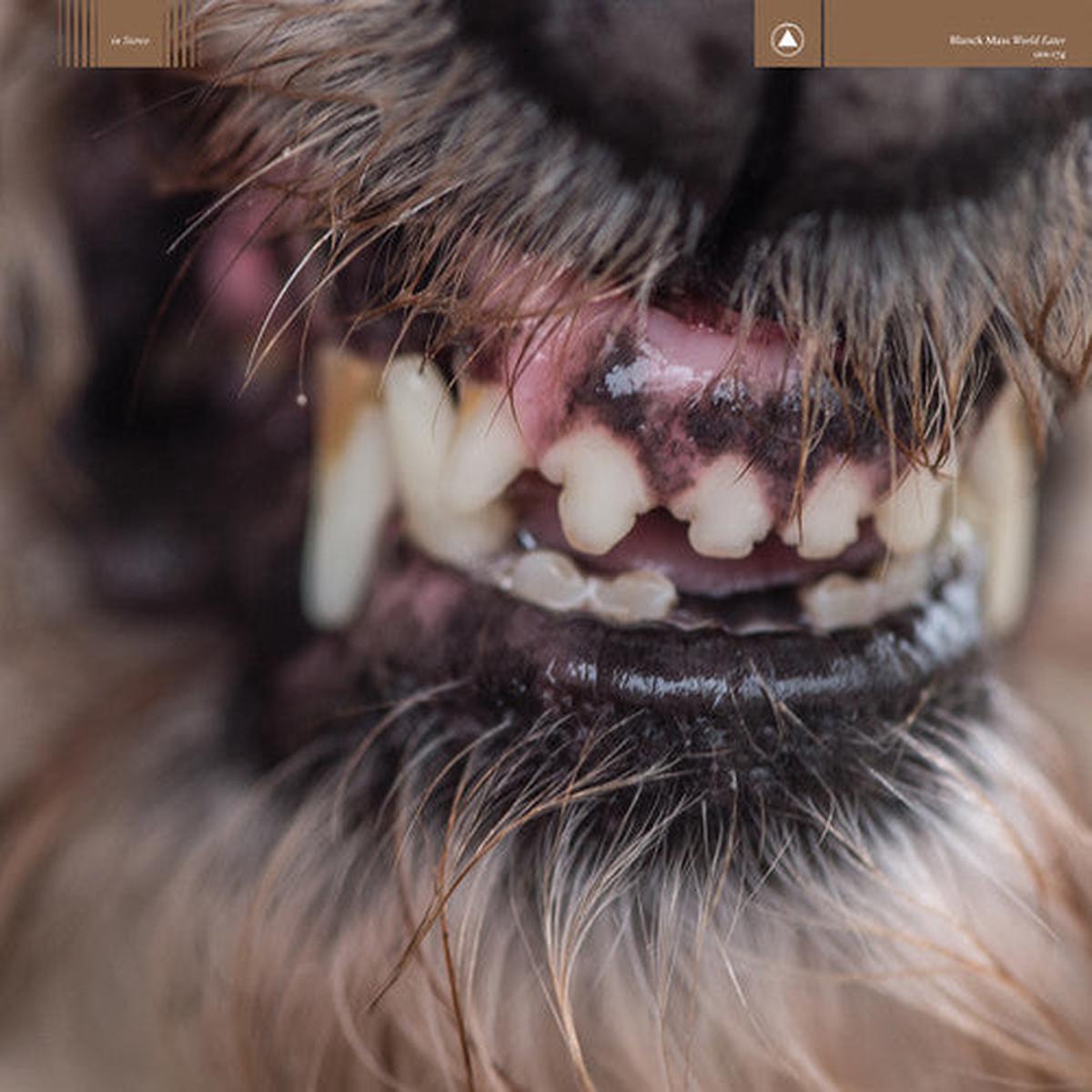 Blanck Mass: World Eater - VINYL LP